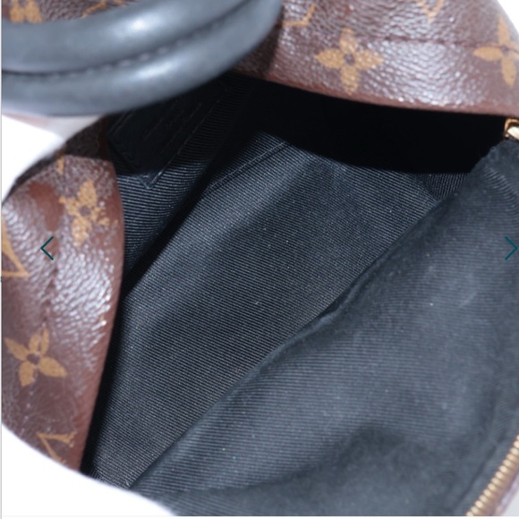Louis Vuitton Palm Spring Mini Backpack - Picture 14 of 15